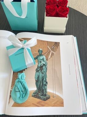 Tiffany Diamond Metro Necklace in White Gold 16” with Tiffany Box